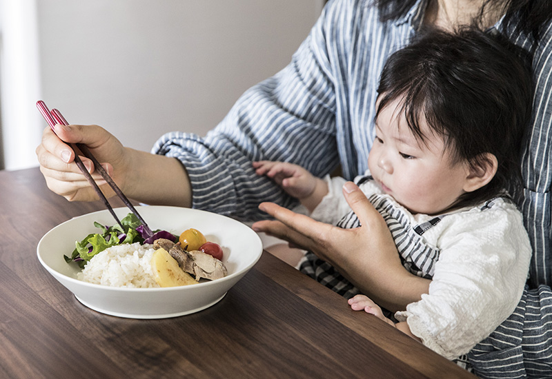 地球に優しい食器